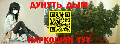 ПСИЛОЦИБИНОВЫЕ ГРИБЫ Малгобек