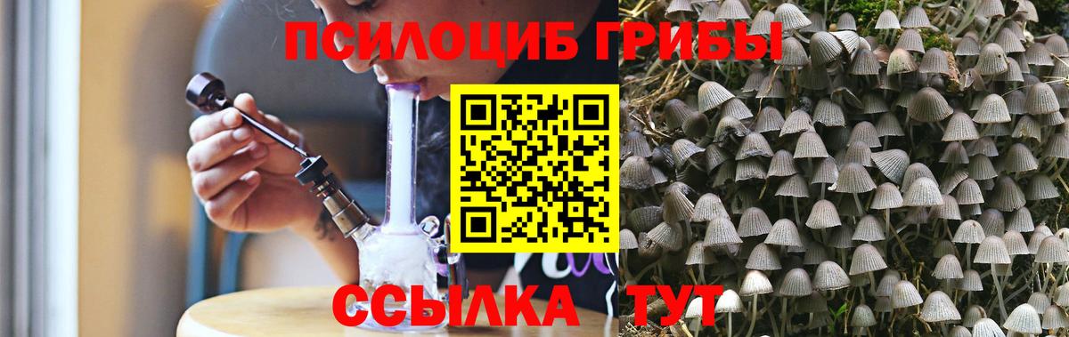 Галлюциногенные грибы Magic Shrooms Гагарин