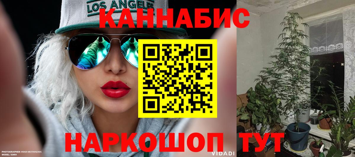 Канабис планчик Гагарин